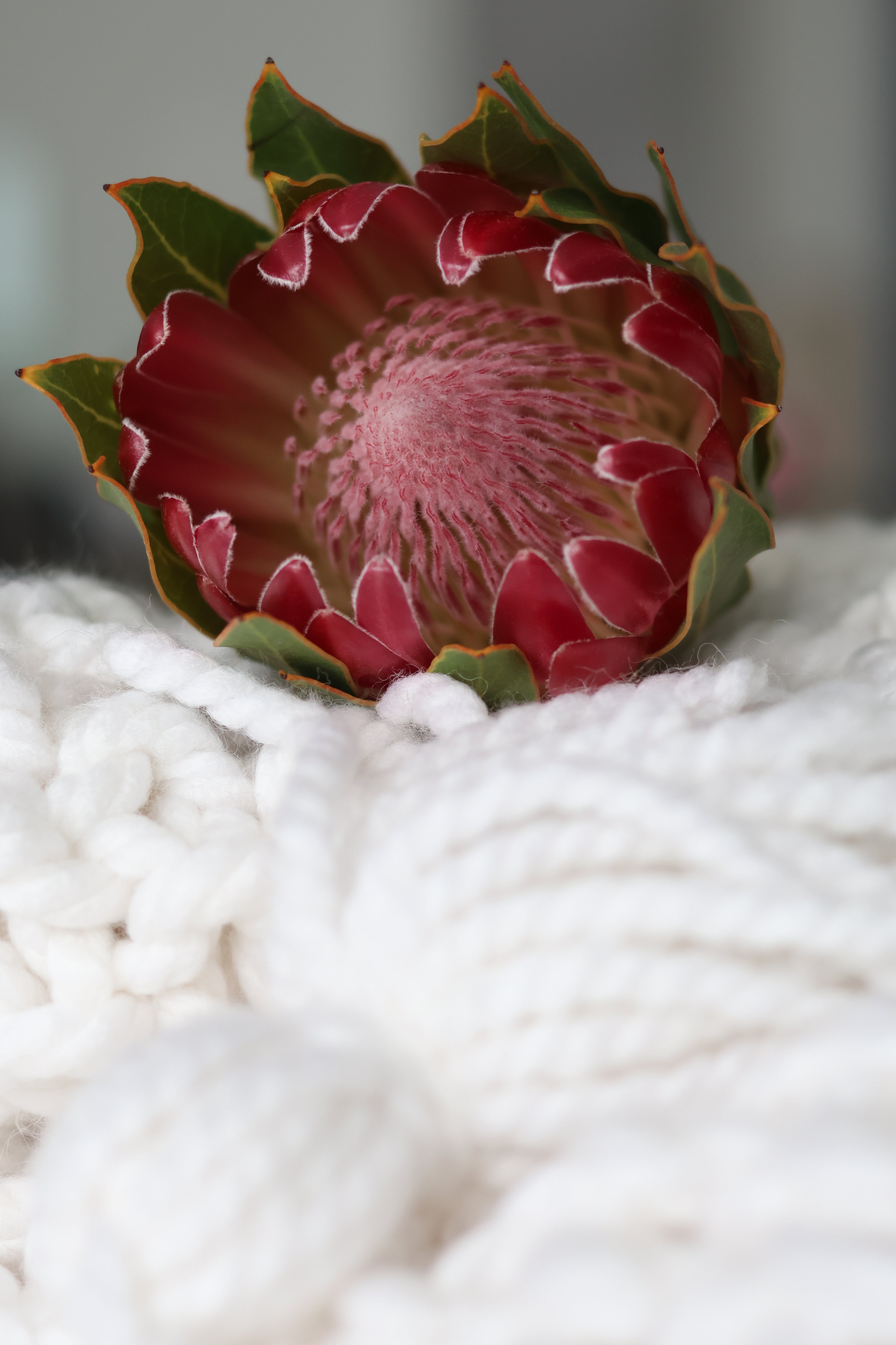 INDI Signature Crochet Blanket